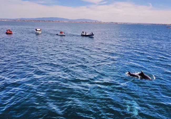 Villa Alte Springs (Alte) Villa Alte Springs (Alte)