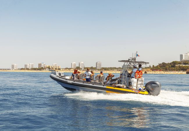 Villa Alte Springs (Alte) Villa Alte Springs (Alte)