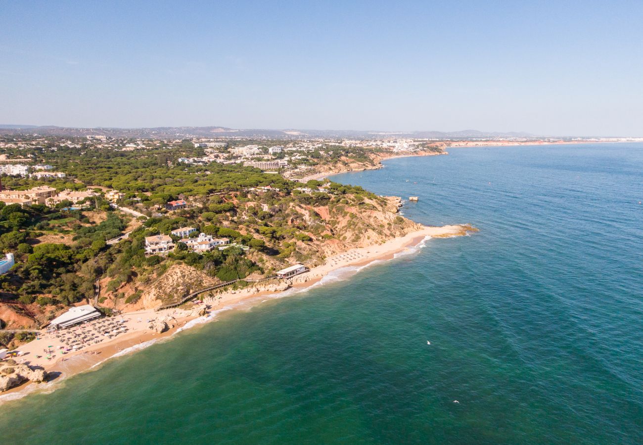 Villa em Albufeira - Villa Paradisius