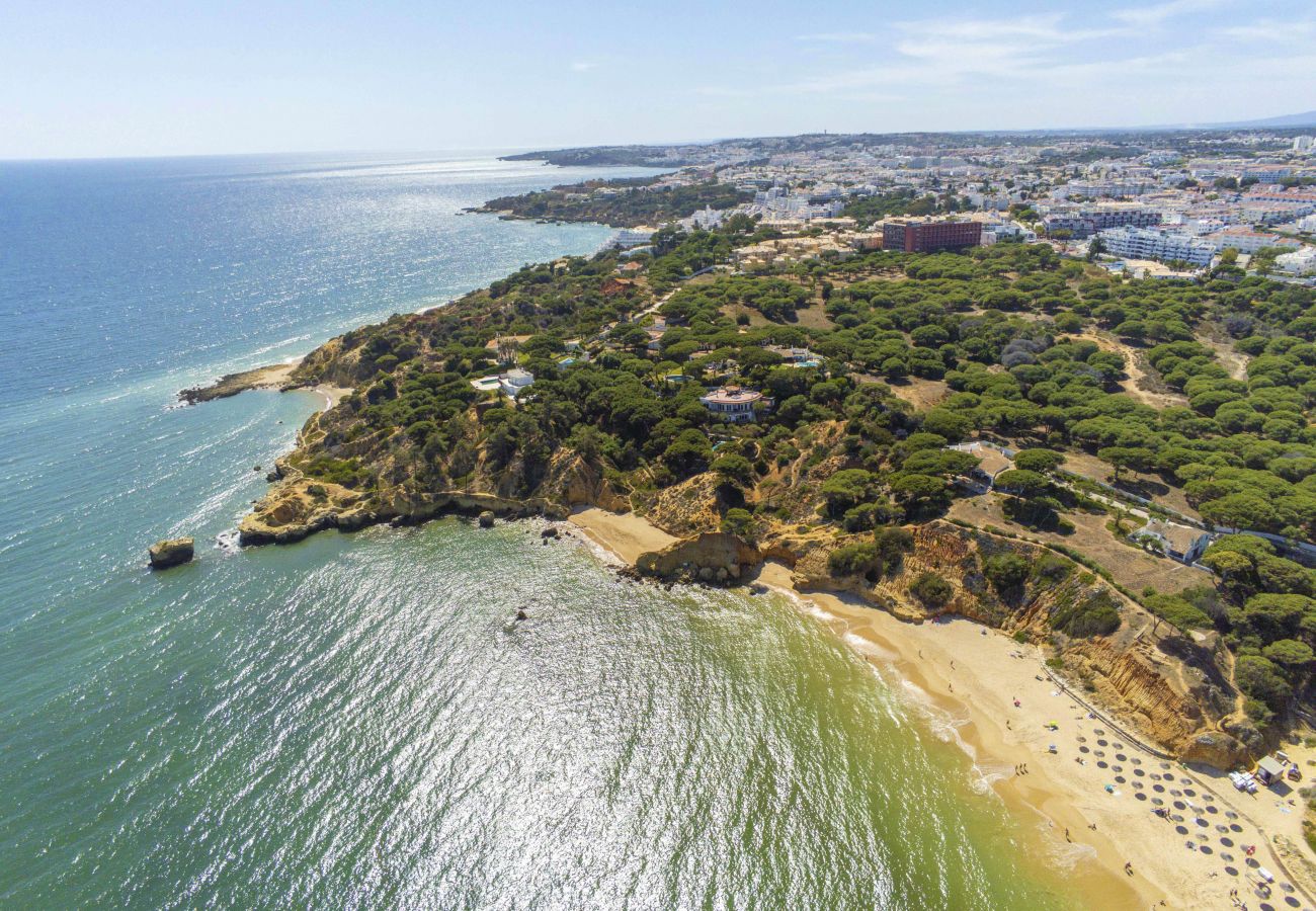 Villa em Albufeira - Villa Tenerife