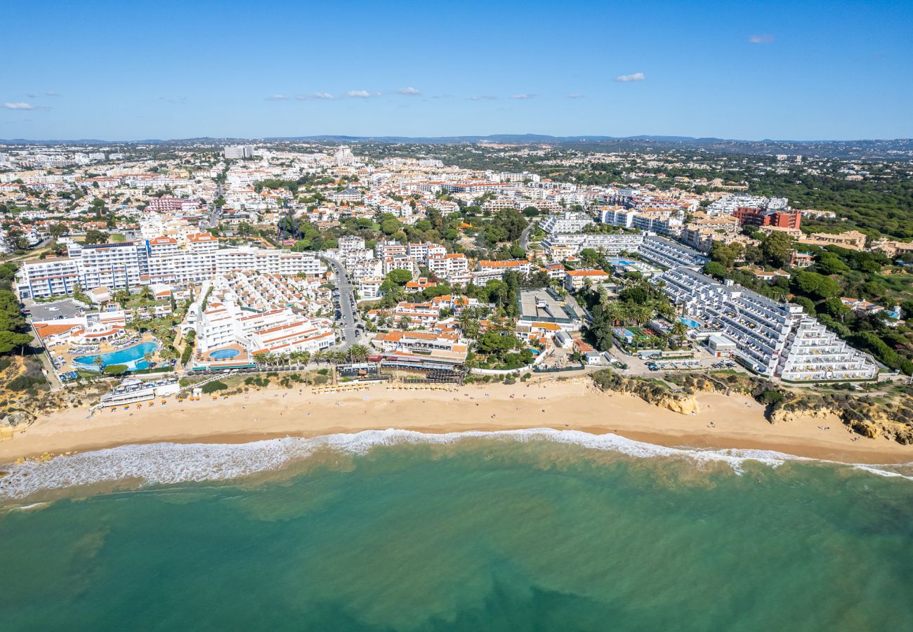 Villa em Albufeira - Villa Dorado