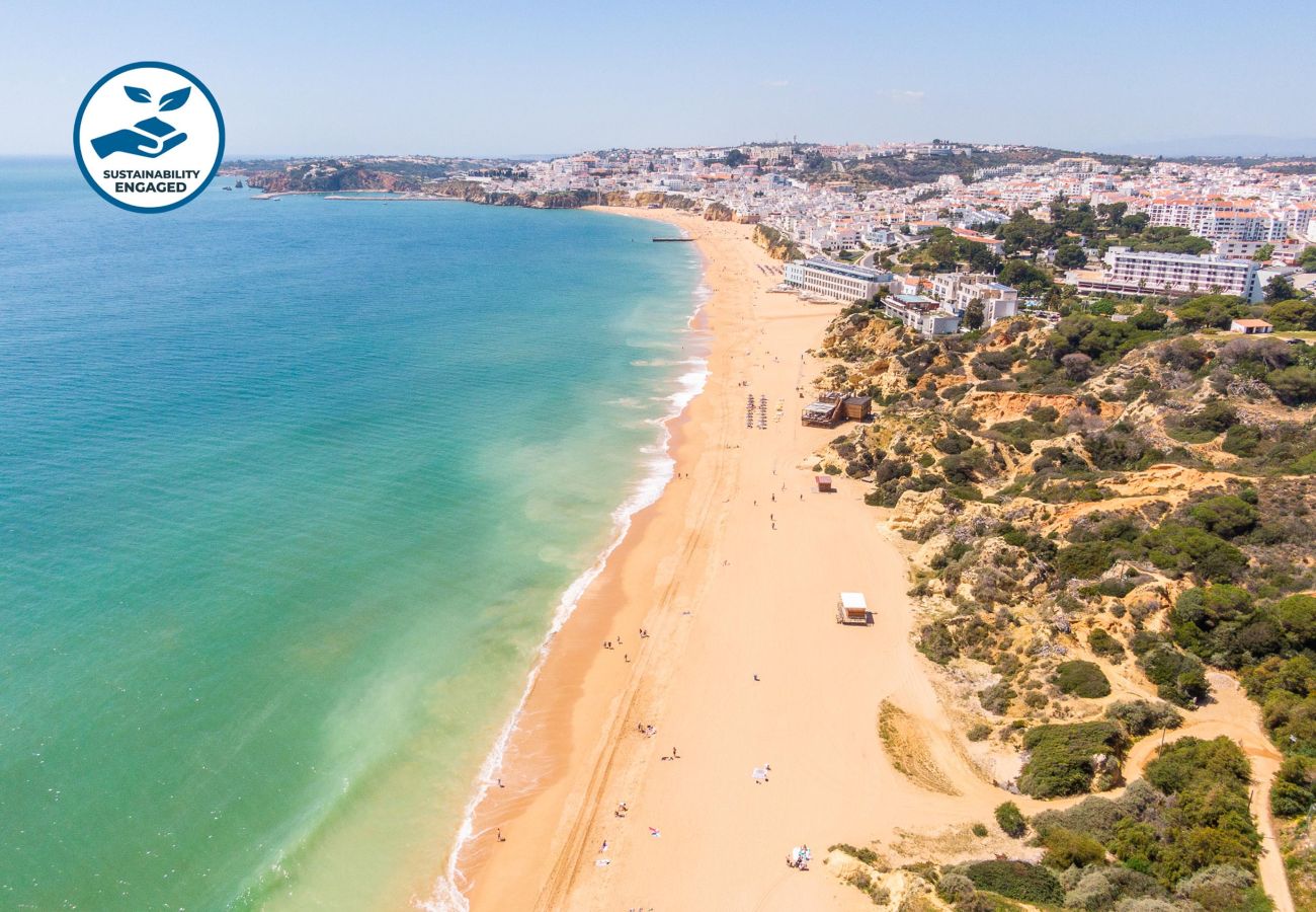 Apartamento em Albufeira - Apartment Lily