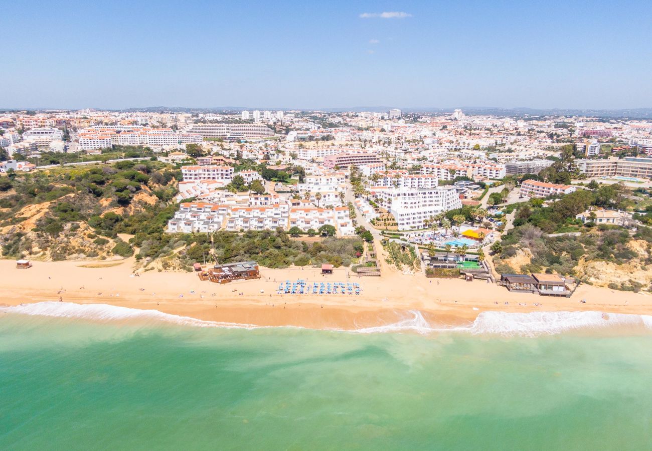 Apartamento em Albufeira - Apartment Lily