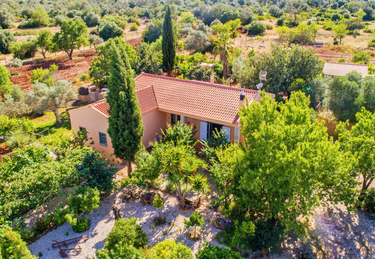 Villa in Paderne - Villa Quinta do Mocho