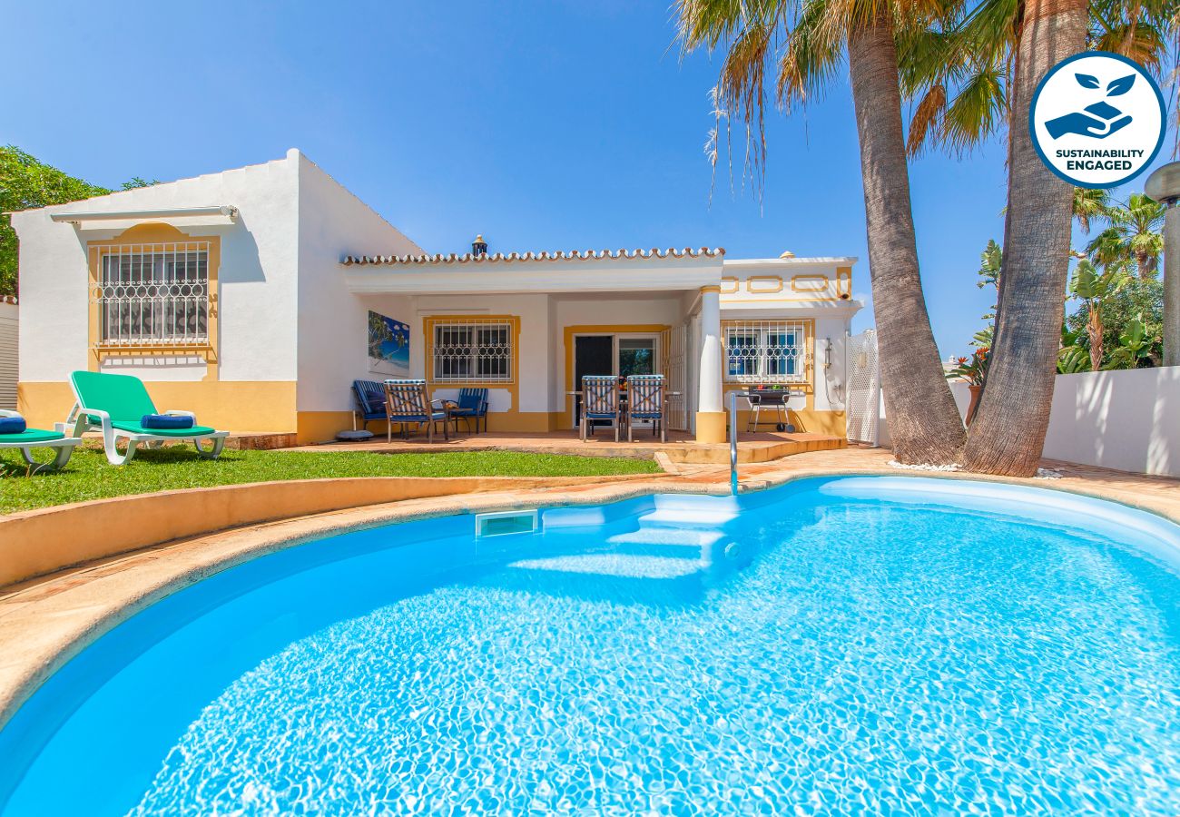 Villa in Guia - Villa Dreams